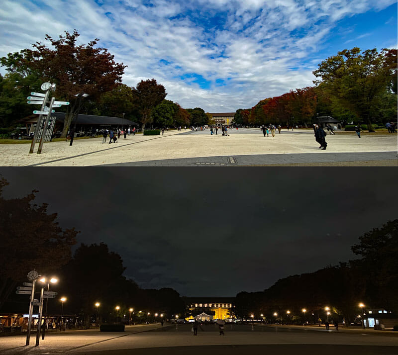 上野公園の朝と夕