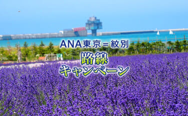 ANA東京＝紋別　路線キャンペーン