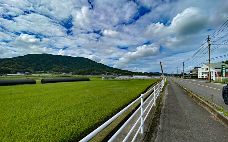 糸島でのレンタサイクル風景