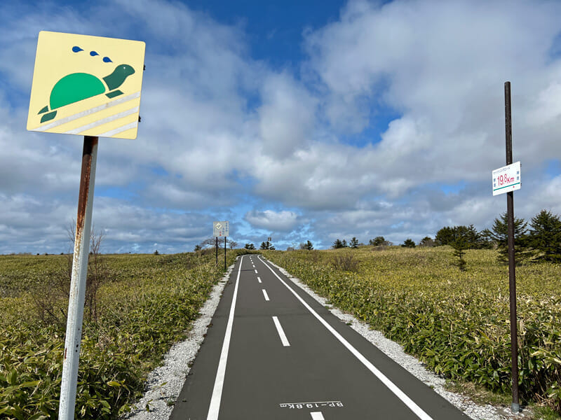 利尻島 サイクリングロード 亀の看板