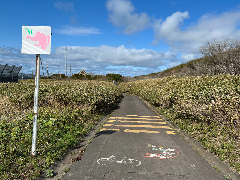 利尻島 サイクリングロード ウサギの看板