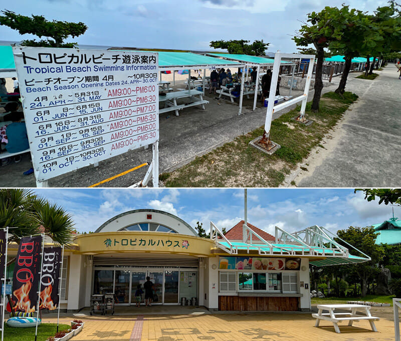 トロピカルビーチ 飲食店