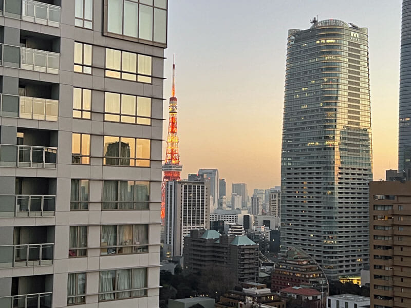 ANAインターコンチネンタル東京　部屋からの眺望