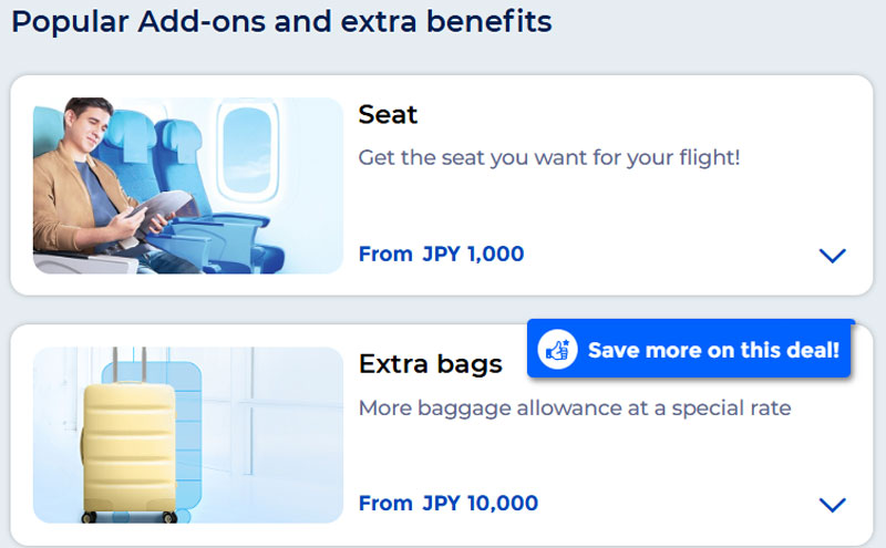 フィリピン航空 有料オプション