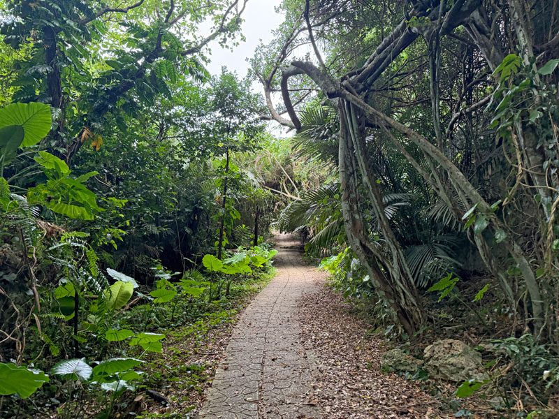 タコ公園の散策路1