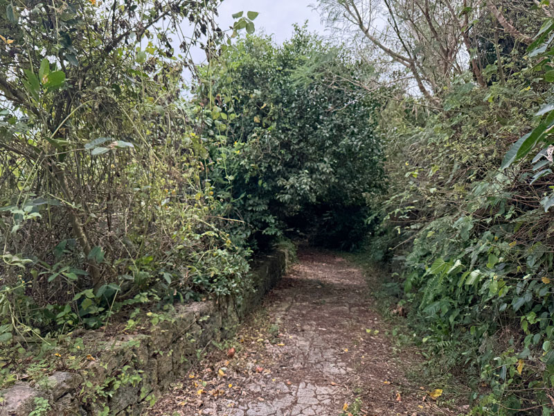 竜宮城展望台前の遊歩道