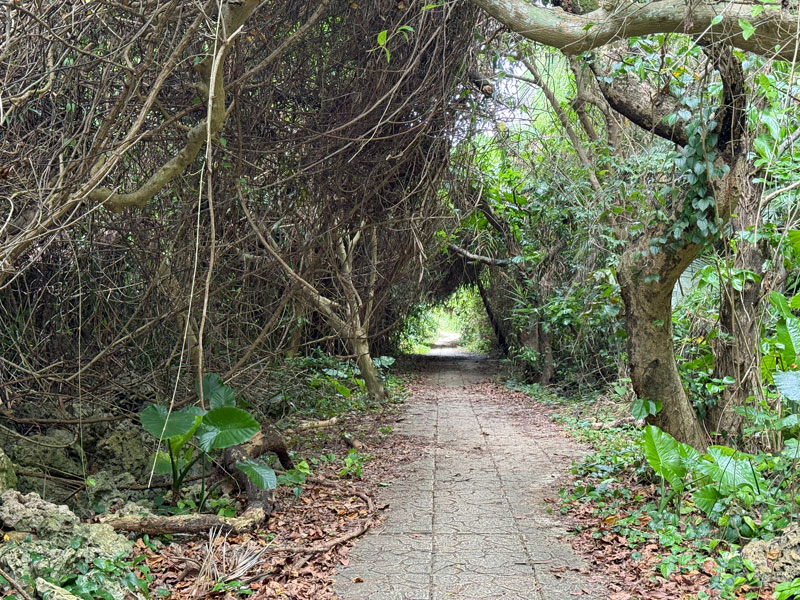タコ公園の散策路2