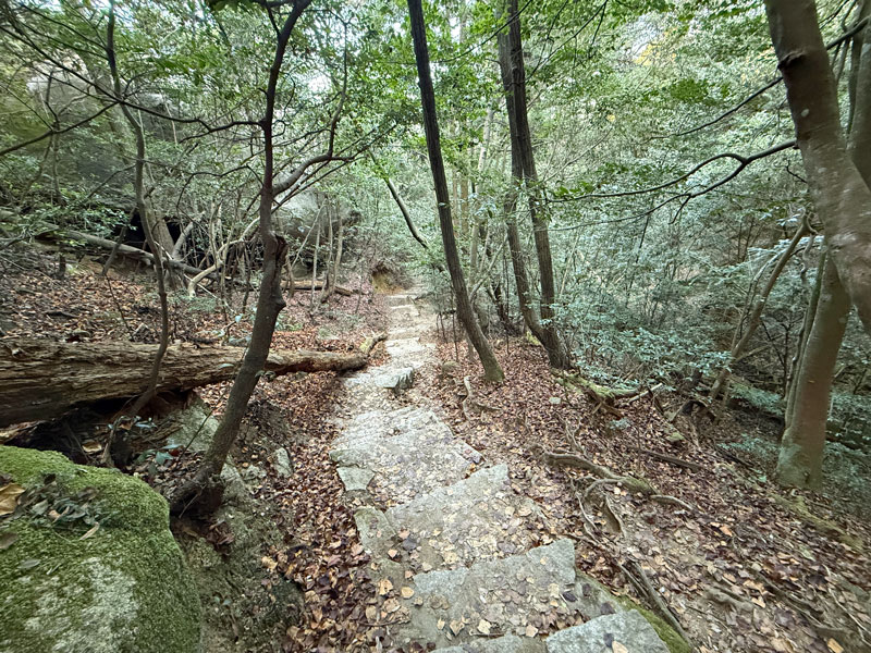 弥山 紅葉谷コース