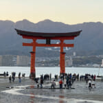 広島は宮島。弥山に登り、厳島神社の大鳥居を眺め、カキフライを食うのだ