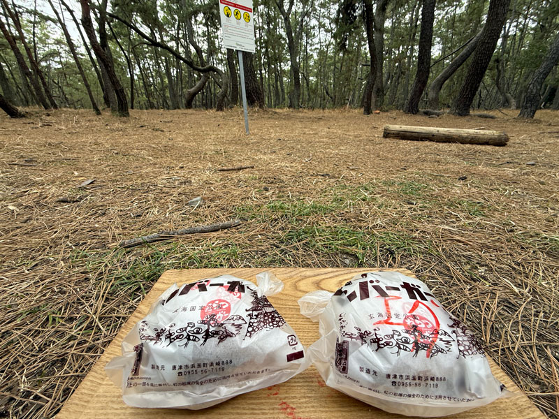 虹ノ松原とハンバーガー