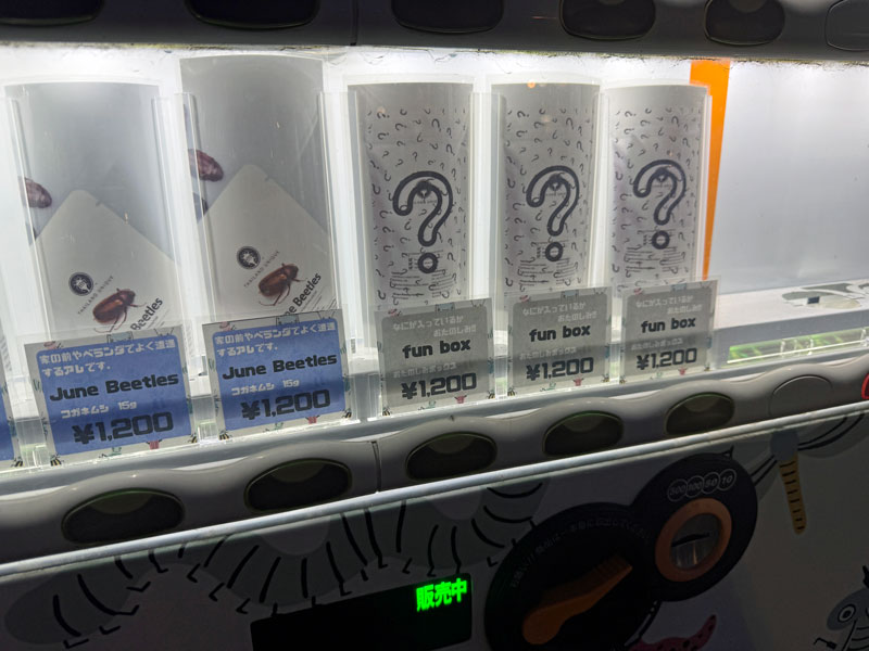 昆虫食自販機 fun box 佐賀大学近辺