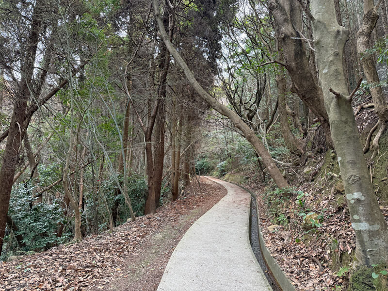 佐賀 鏡山 登山道