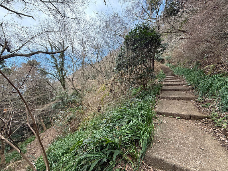 佐賀 鏡山 登山道