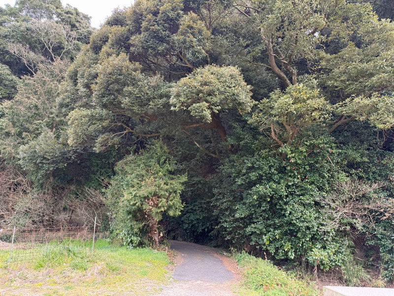 佐賀 鏡山 登山口