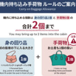 フライト「機内持ち込み手荷物」ルール変更、自分の荷物は自分で棚へ