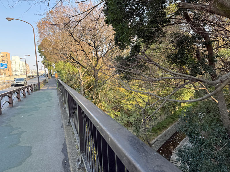環八ウォーキング 等々力渓谷