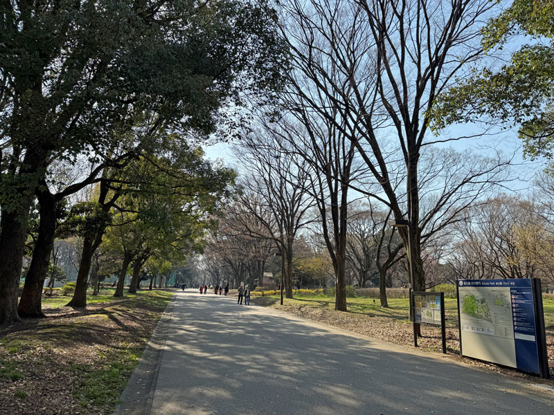 環八ウォーキング 砧公園