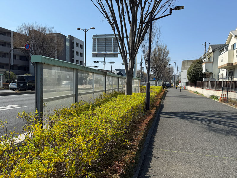 環八ウォーキング 透光性防音壁 練馬区