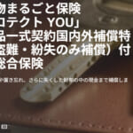 アメックスが「携行品損害保険」の対象クレカを大幅削減