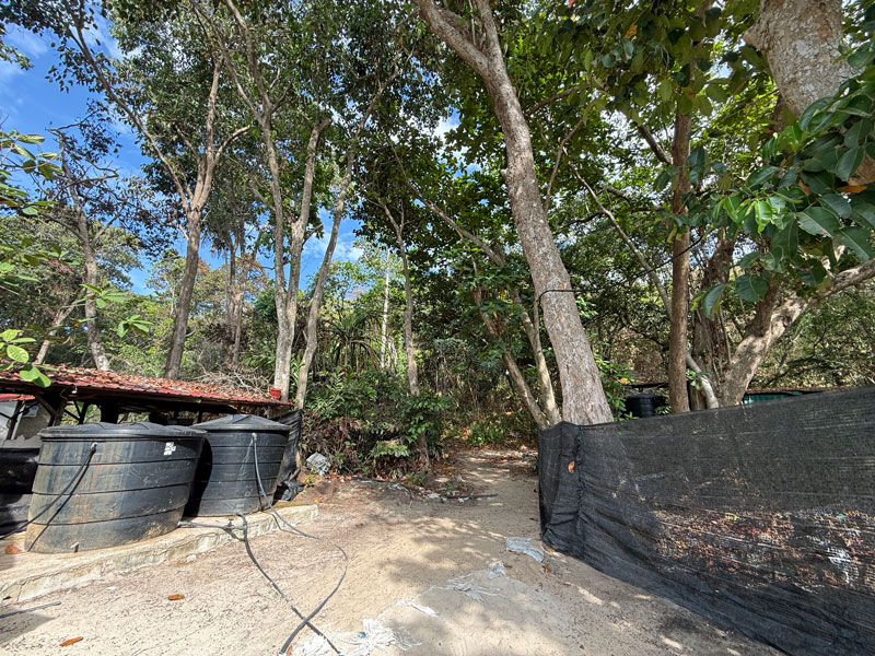 プルフンティアン島 ロングビーチ キャンプ場 登山口