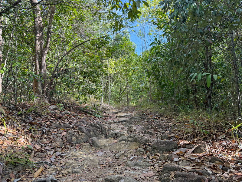 プルフンティアン島 トレッキング 山道