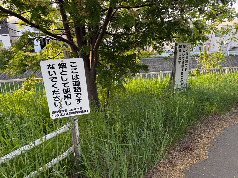 エルム緑道 看板