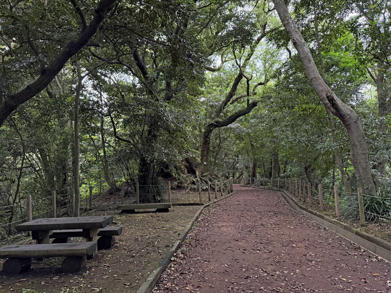 鹿児島 城山遊歩道