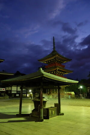 成田観光で、初詣客数が全国2位の「成田山新勝寺」と、「成田市場」など